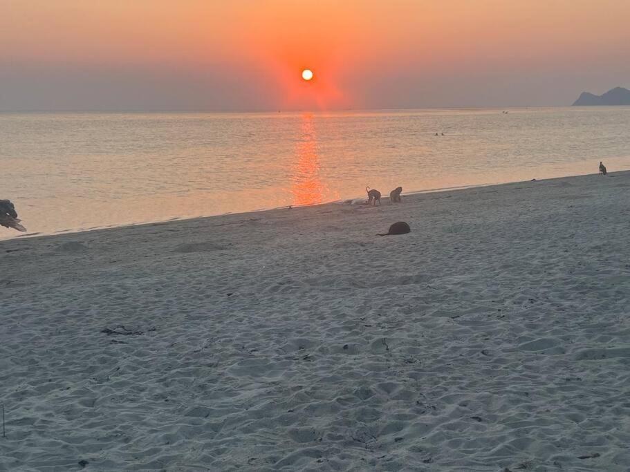 קופנגן Sunset Serenity Cove מראה חיצוני תמונה